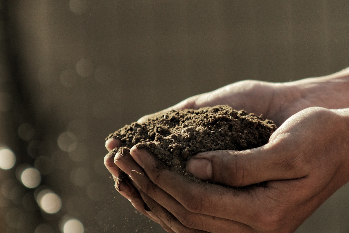 Ground Levelling & Earth Works